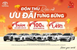 Lưu Nháp Tự động