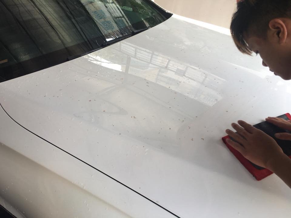 [mẸo] Xử Lý Vết Dơ Trên ô Tô Do Nhựa Cây, Phân Chim