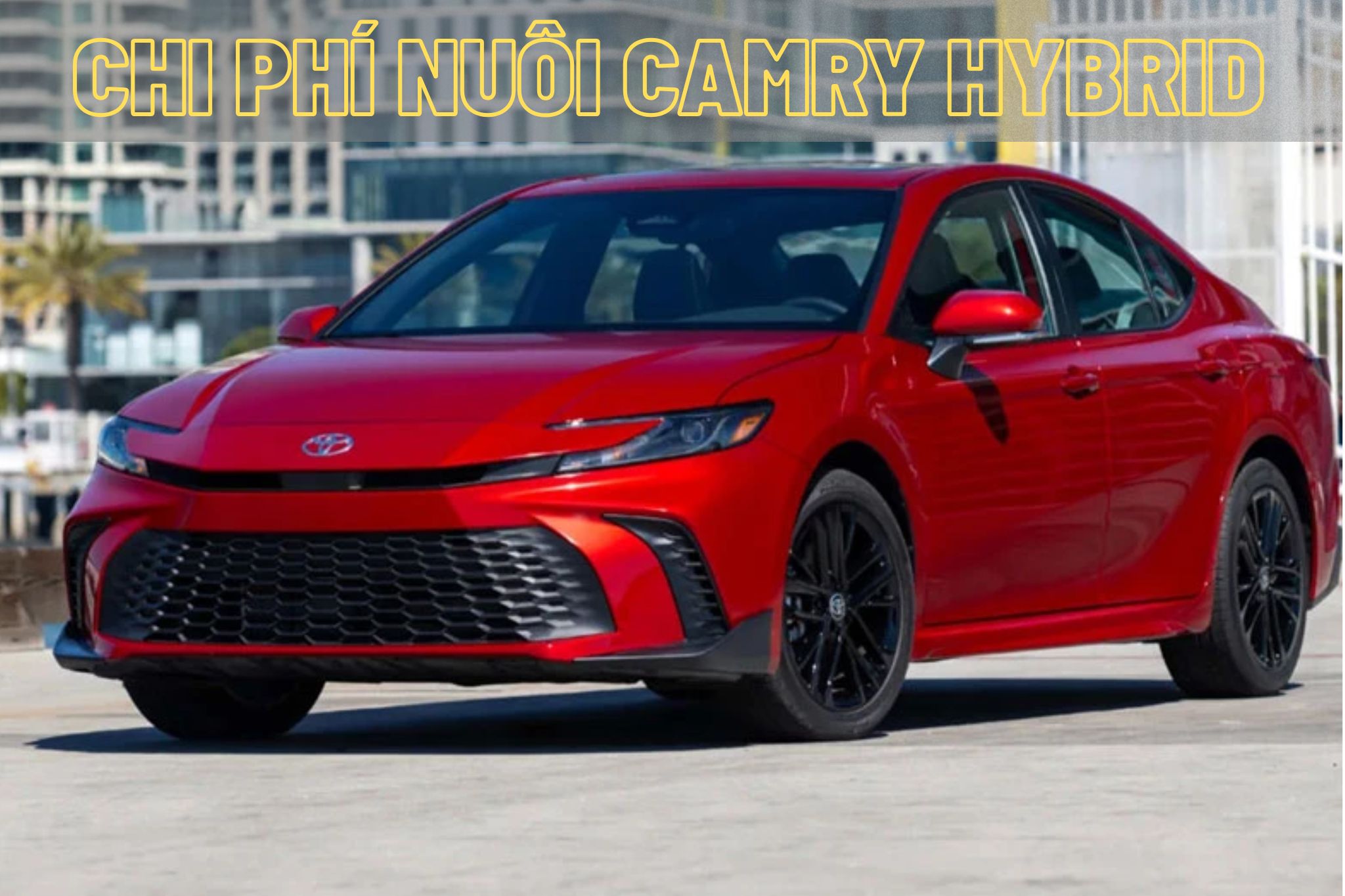 Chi Phí Nuôi Camry Hybrid Mỗi Tháng Bao Nhiêu?
