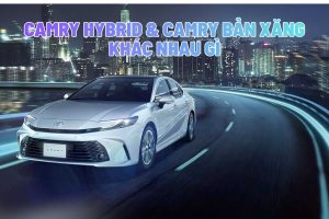 Camry Hybrid Và Camry Bản Xăng Khác Nhau Gì?